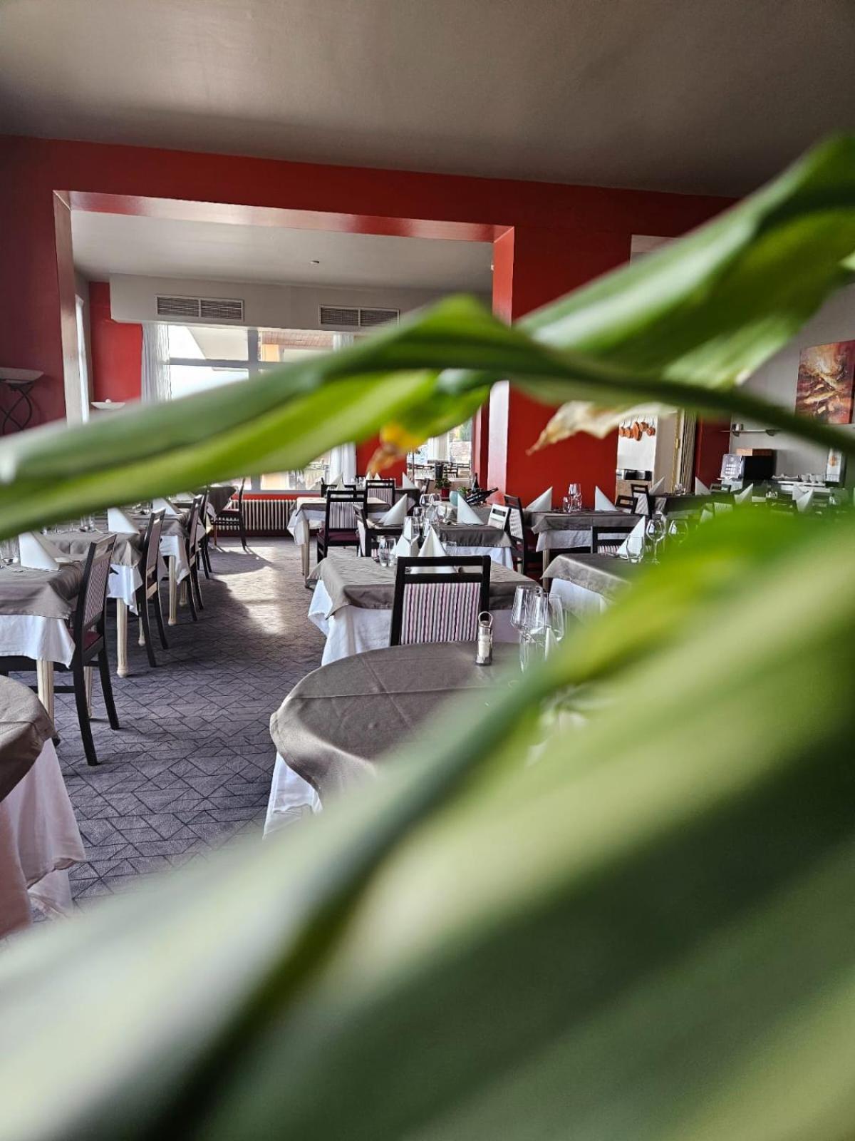 Alexain Hotel Restaurant & Wellness - Colmar Ouest Trois-Épis Exteriér fotografie