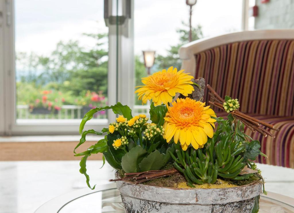 Alexain Hotel Restaurant & Wellness - Colmar Ouest Trois-Épis Exteriér fotografie